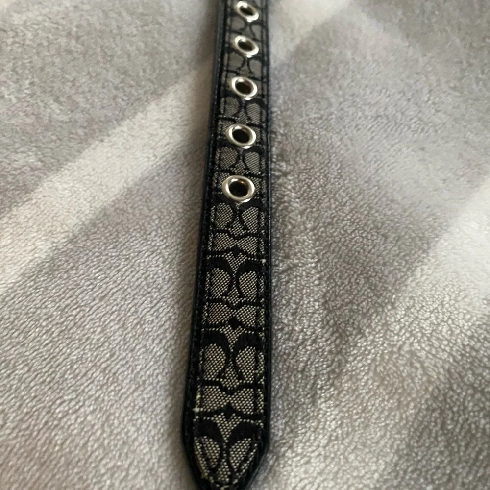 Coach Dog leash and collar